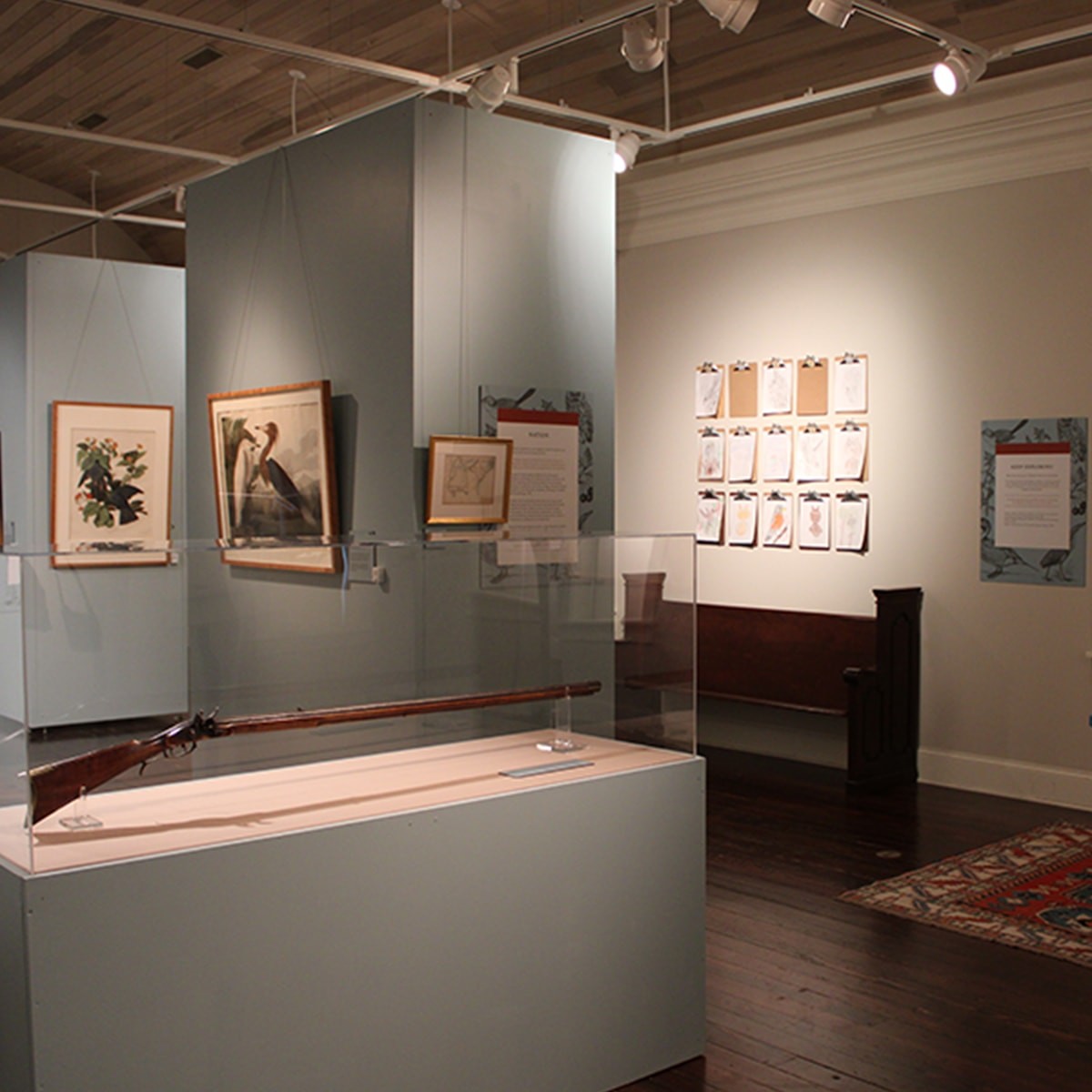 Audubon Nature & Nation James K. Polk Museum. Columbia, TN